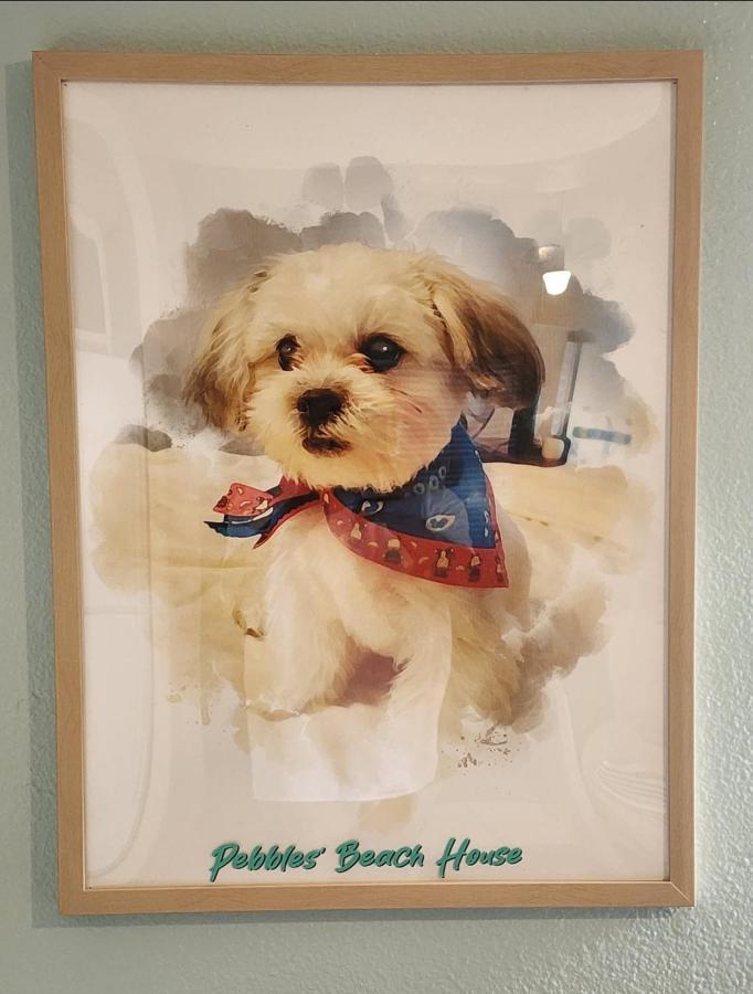 Pebbles' Beach House 爱丁堡 外观 照片
